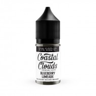 Coastal Clouds Blueberry Limeade Salt